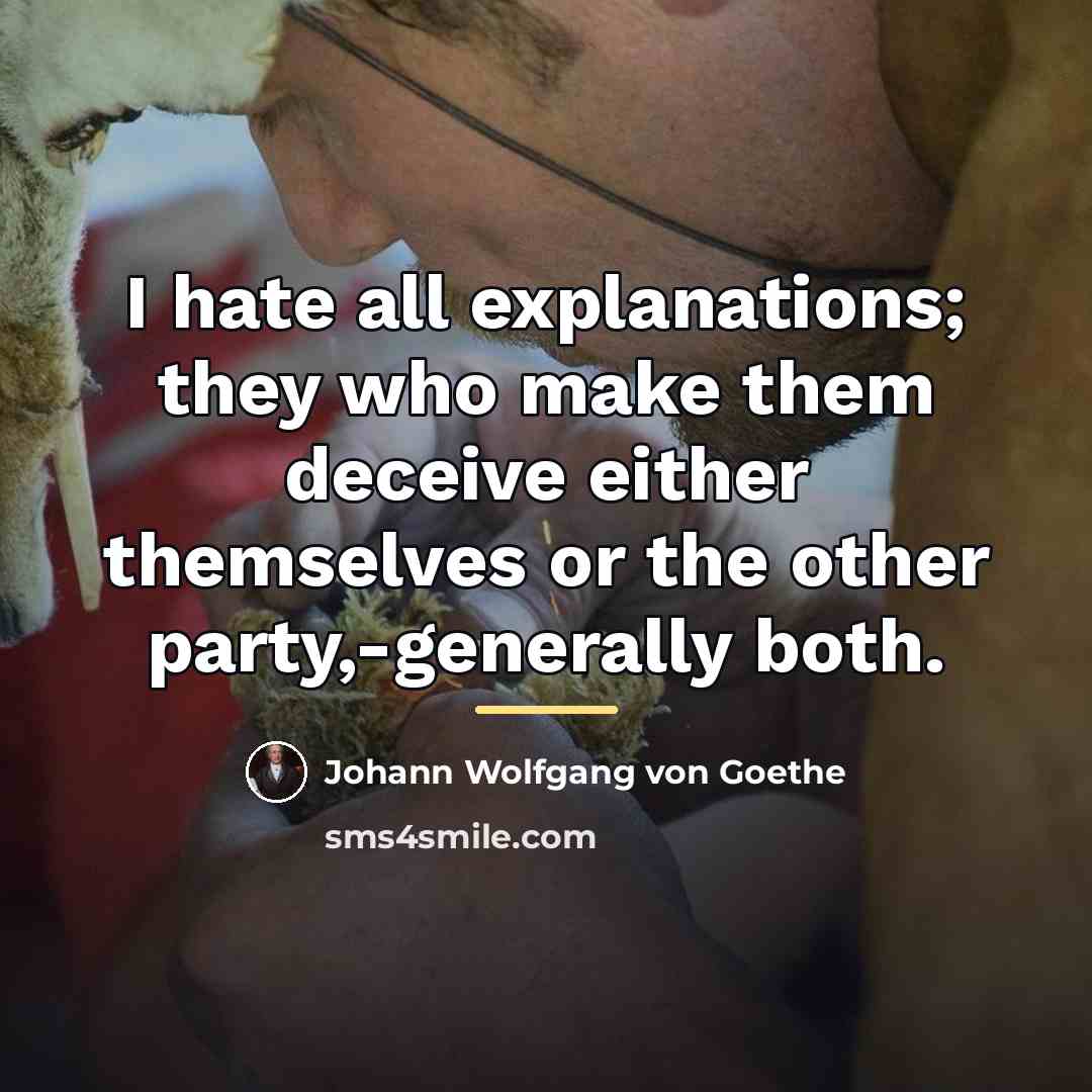 “I hate all explanations; they who make them deceive either…” quote by Johann Wolfgang von Goethe