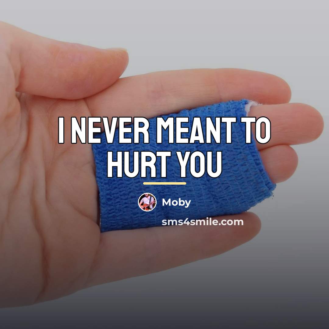 “I never meant to hurt you…” quote by Moby