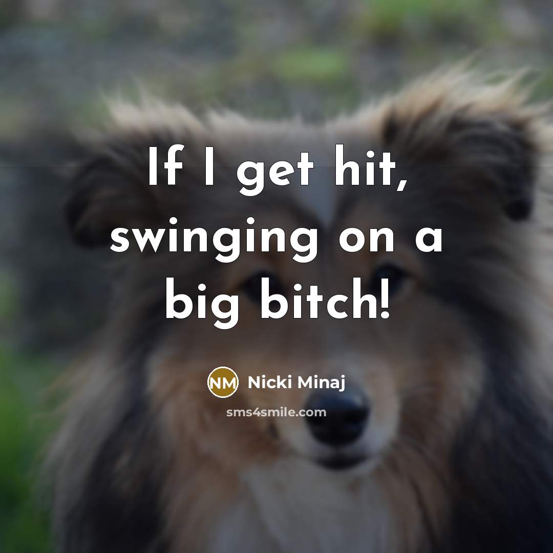 “If I get hit, swinging on a big bitch!” quote by Nicki Minaj