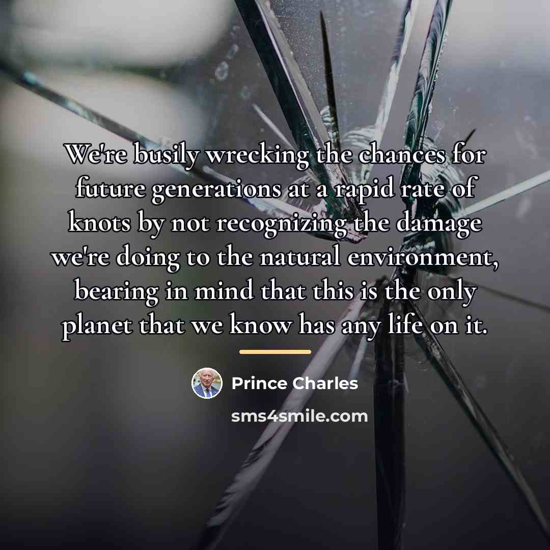 “We're busily wrecking the chances for future generations at a…” quote by Prince Charles