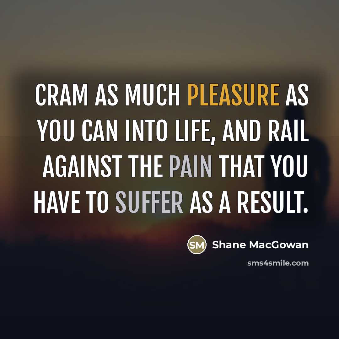 “Cram as much pleasure as you can into life, and…” quote by Shane MacGowan