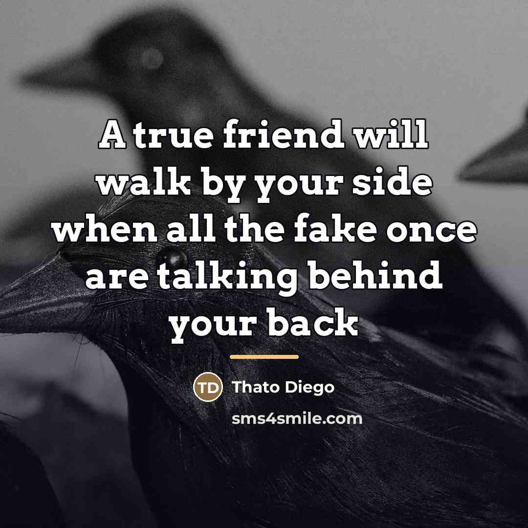 “A true friend will walk by your side when all…” quote by Thato Diego