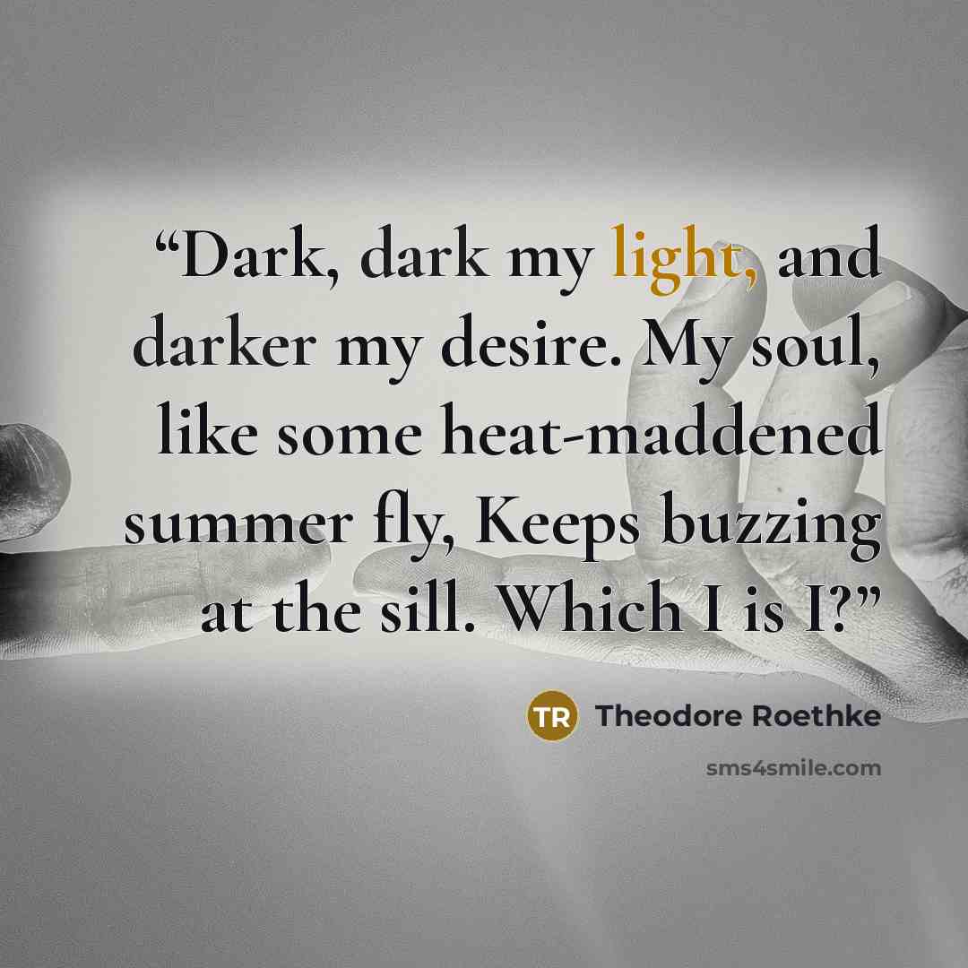 “Dark, dark my light, and darker my desire. My soul, like some heat-maddened summer fly, Keeps buzzing at the sill. Which I is I?” quote by Theodore Roethke