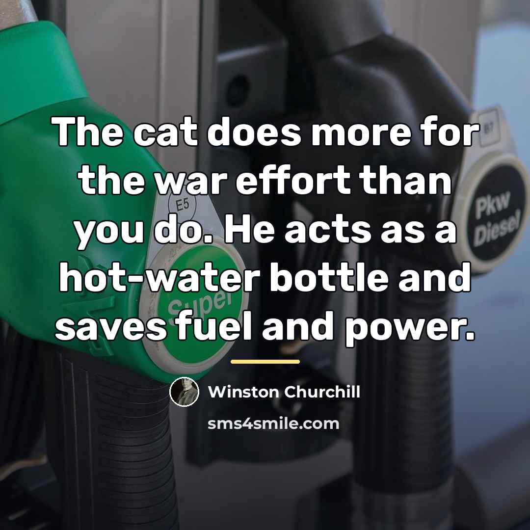 “The cat does more for the war effort than you…” quote by Winston Churchill