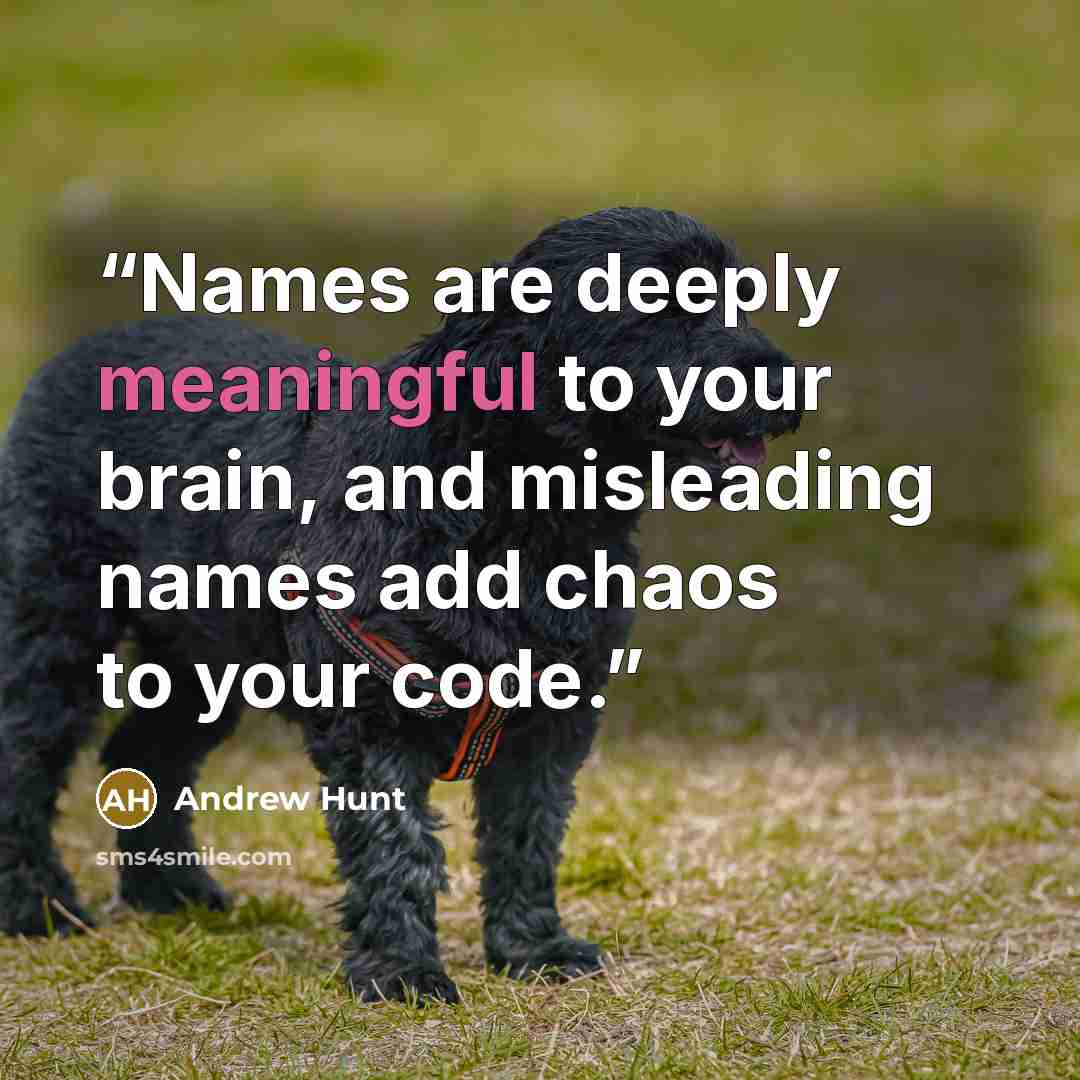 “Names are deeply meaningful to your brain, and misleading names add chaos to your code.” quote by Andrew Hunt