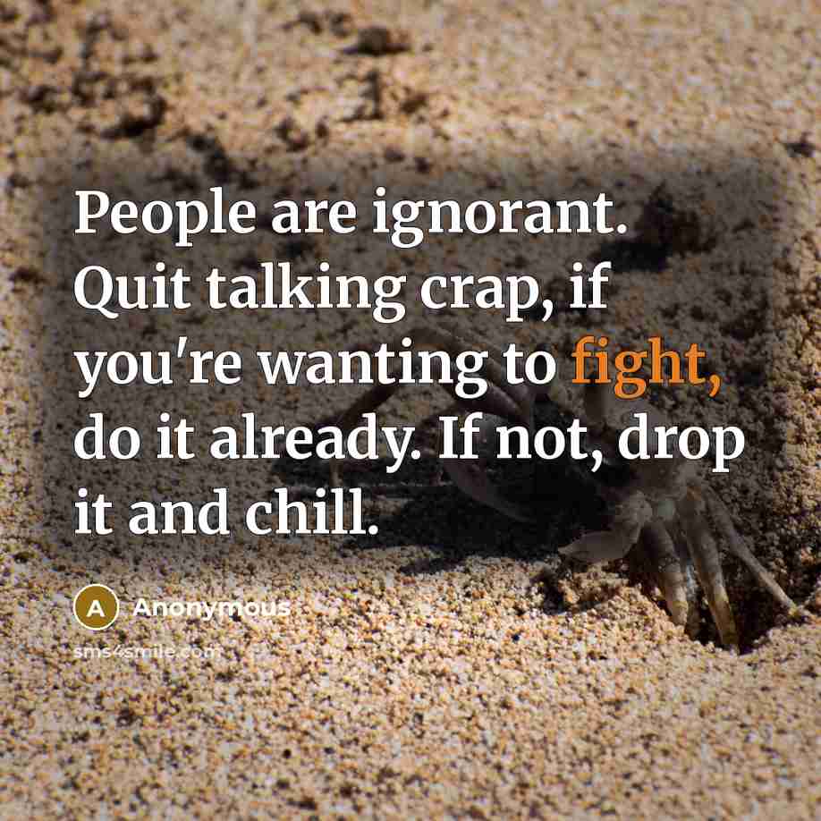“People are ignorant. Quit talking crap, if you're wanting to fight, do it already. If not, drop it and chill.” quote by Anonymous