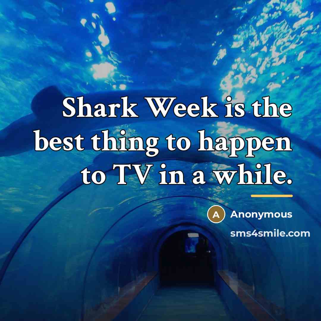 “Shark Week is the best thing to happen to TV…” quote by Anonymous