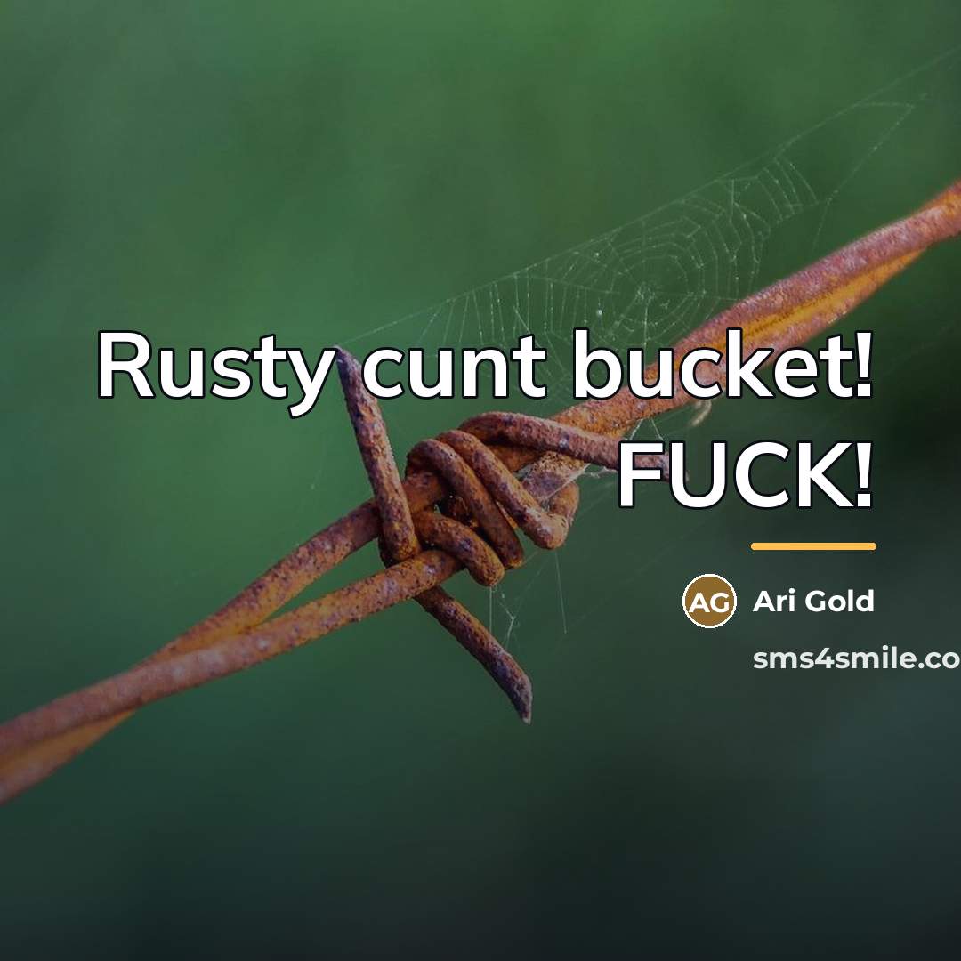 “Rusty cunt bucket! FUCK!…” quote by Ari Gold