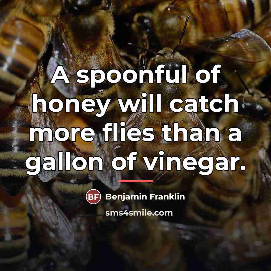 “A spoonful of honey will catch more flies than a…” quote by Benjamin Franklin