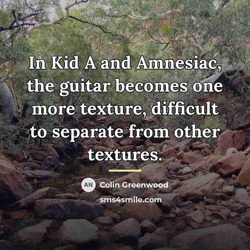“In Kid A and Amnesiac, the guitar becomes one more…” quote by Colin Greenwood
