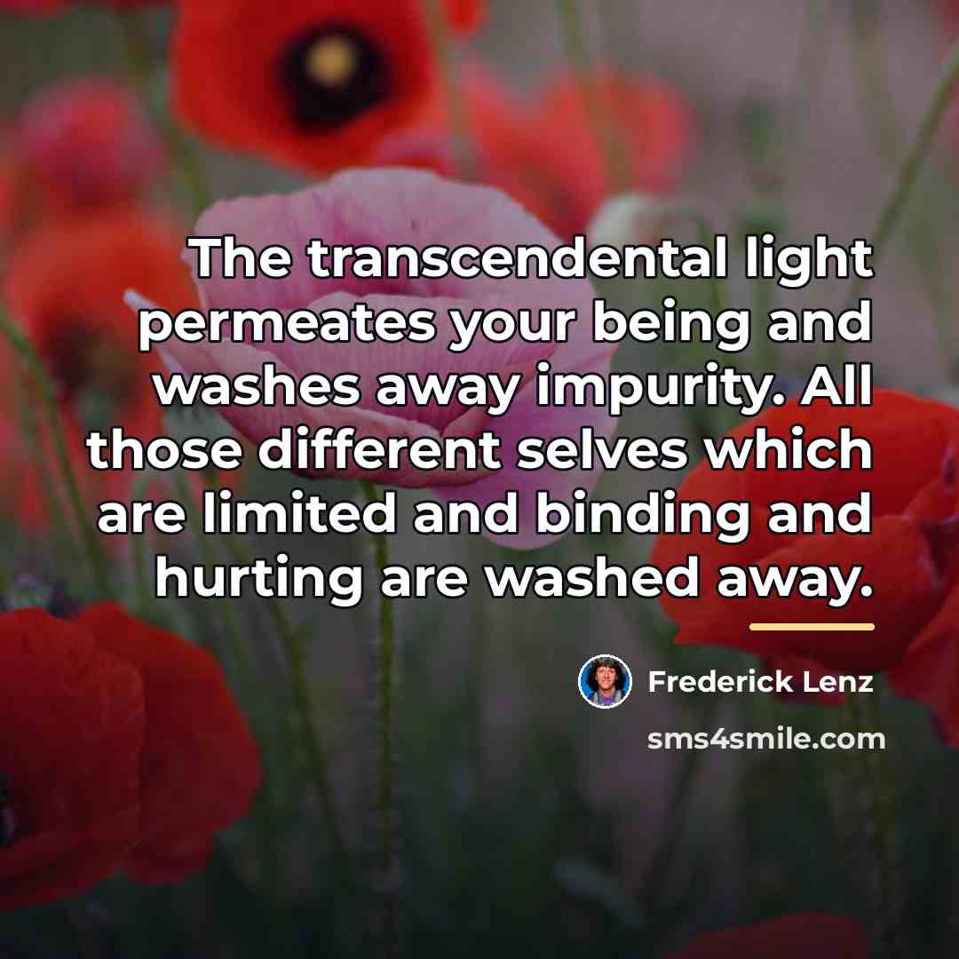 “The transcendental light permeates your being and washes away impurity.…” quote by Frederick Lenz