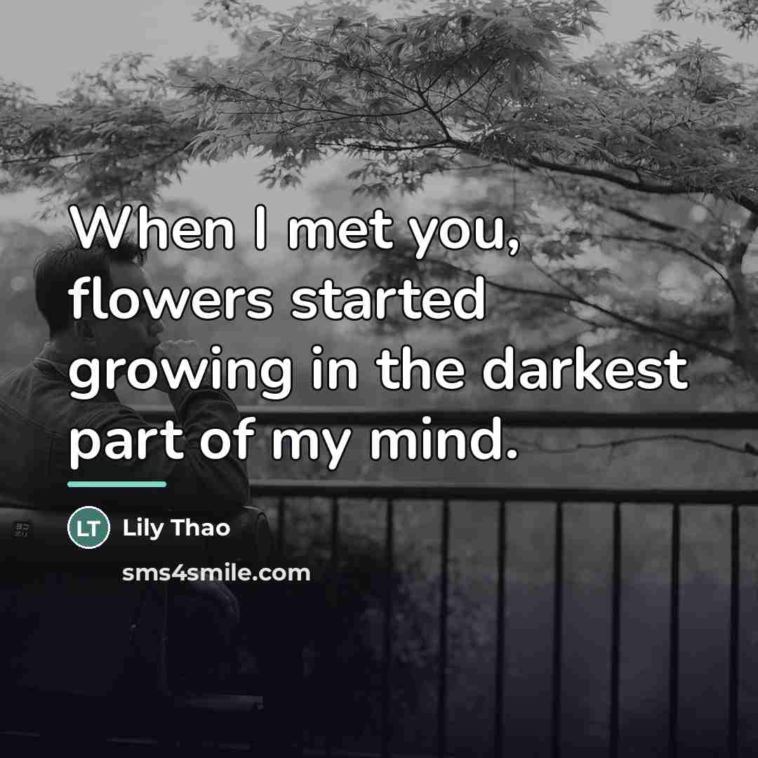 “When I met you, flowers started growing in the darkest…” quote by Lily Thao