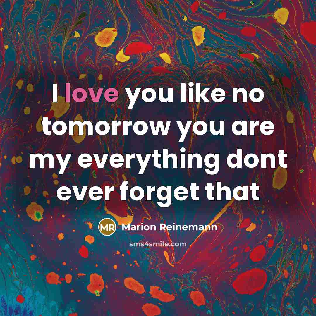 “I love you like no tomorrow you are my everything dont ever forget that” quote by Marion Reinemann