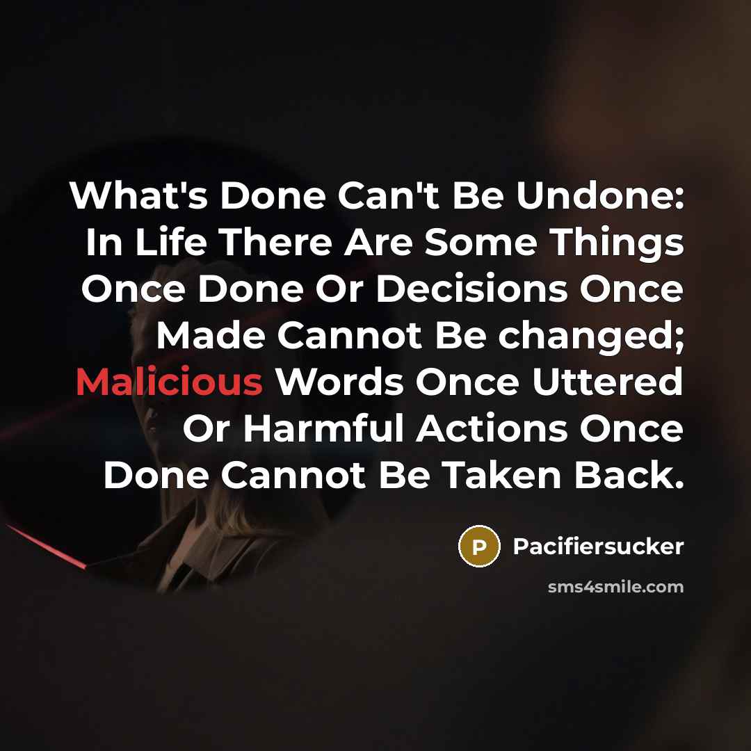 “What's Done Can't Be Undone: In Life There Are Some…” quote by Pacifiersucker