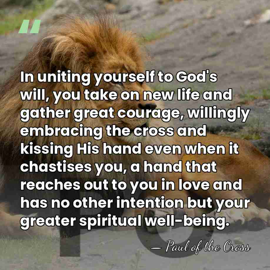 In uniting yourself to God's will, you take on new life and&hellip; - Paul of the Cross
