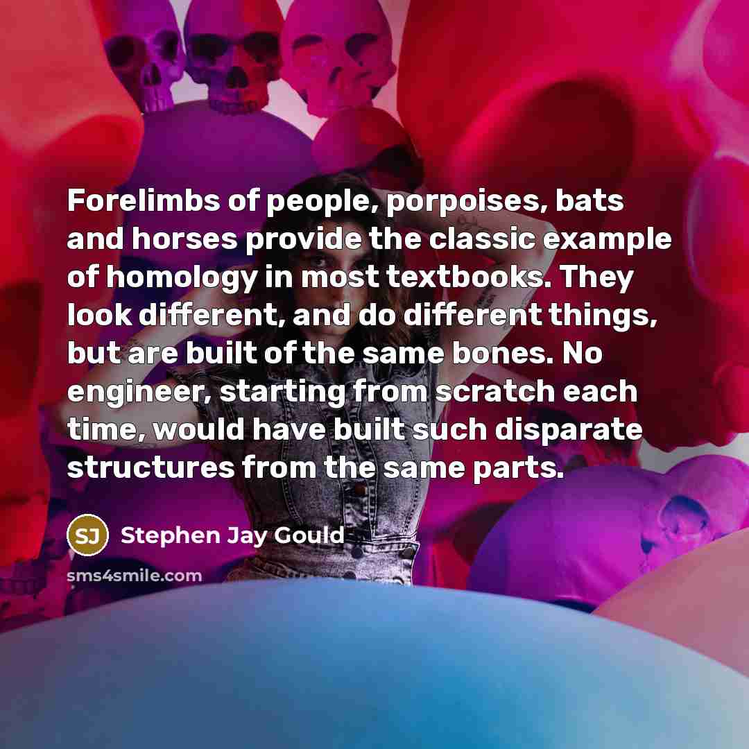 “Forelimbs of people, porpoises, bats and horses provide the classic…” quote by Stephen Jay Gould