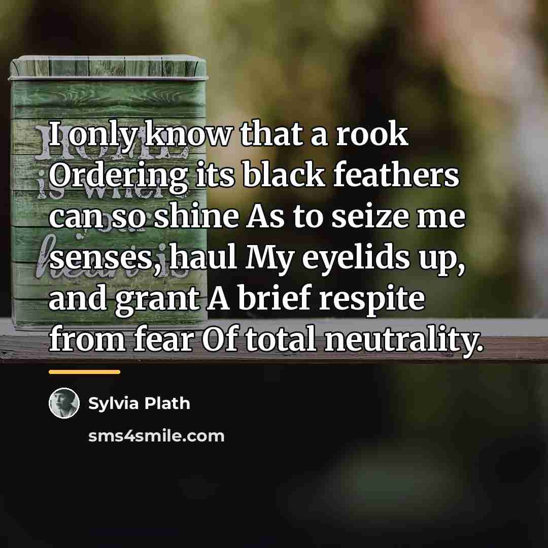 “I only know that a rook Ordering its black feathers…” quote by Sylvia Plath