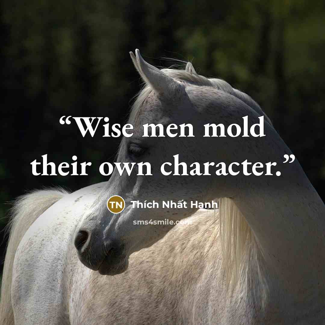 “Wise men mold their own character.” quote by Thích Nhất Hạnh
