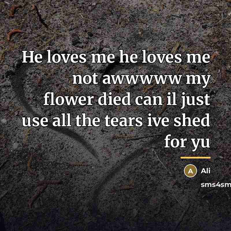 “He loves me he loves me not awwwww my flower…” quote by Ali