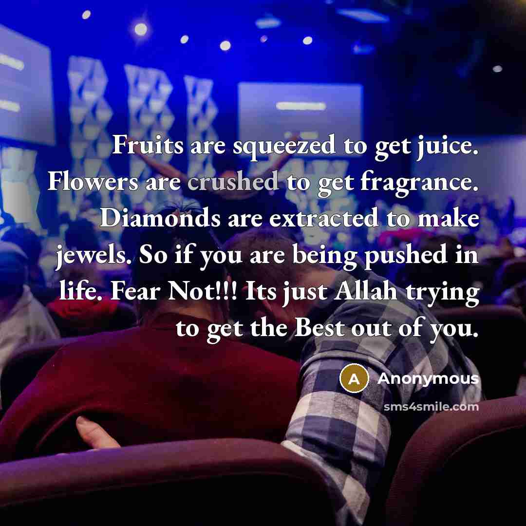 “Fruits are squeezed to get juice. Flowers are crushed to…” quote by Anonymous