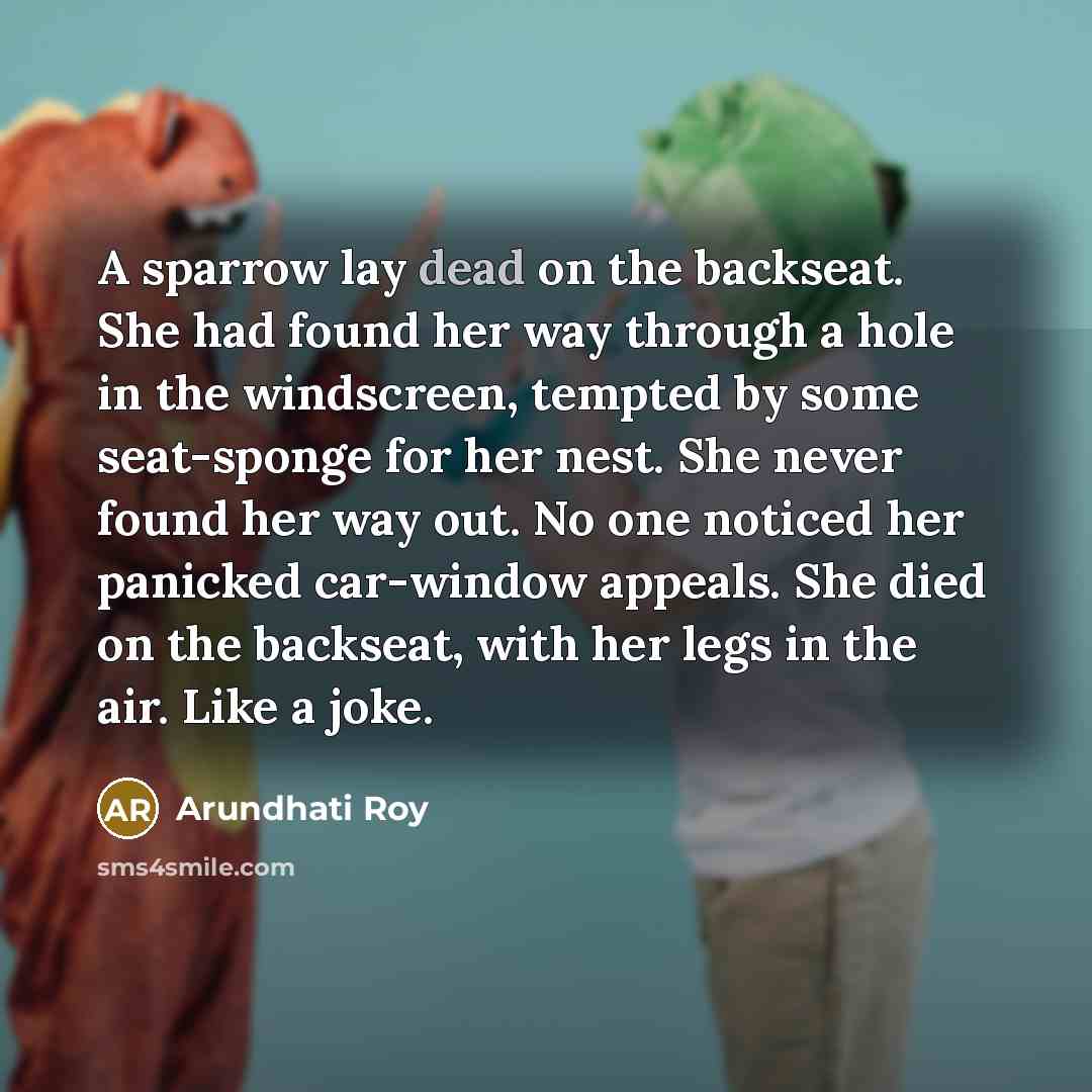 “A sparrow lay dead on the backseat. She had found…” quote by Arundhati Roy