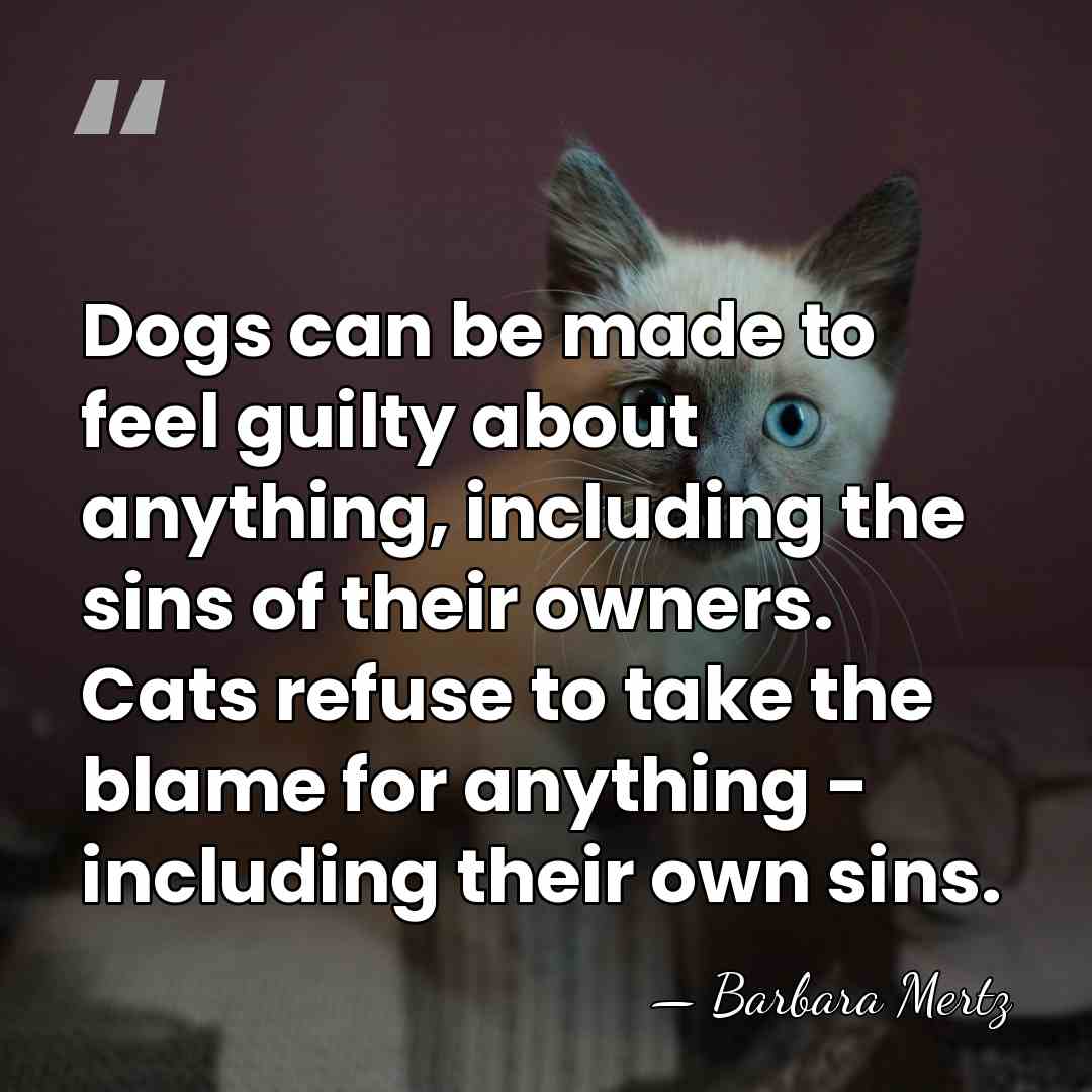Dogs can be made to feel guilty about anything, including the sins&hellip; - Barbara Mertz