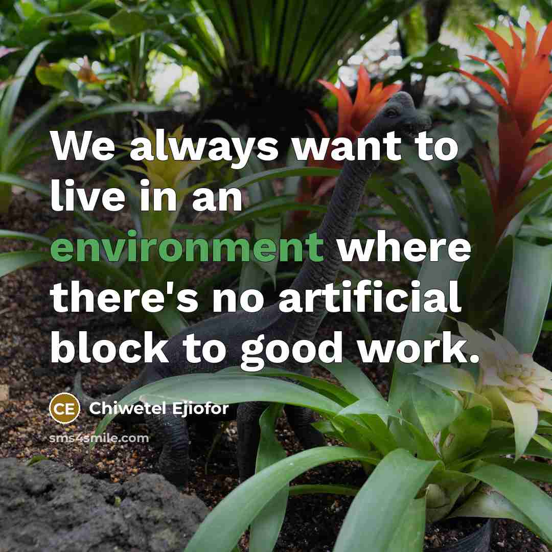 “We always want to live in an environment where there's…” quote by Chiwetel Ejiofor