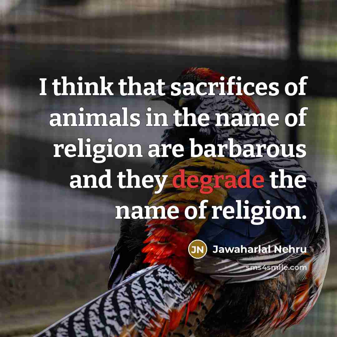 “I think that sacrifices of animals in the name of…” quote by Jawaharlal Nehru