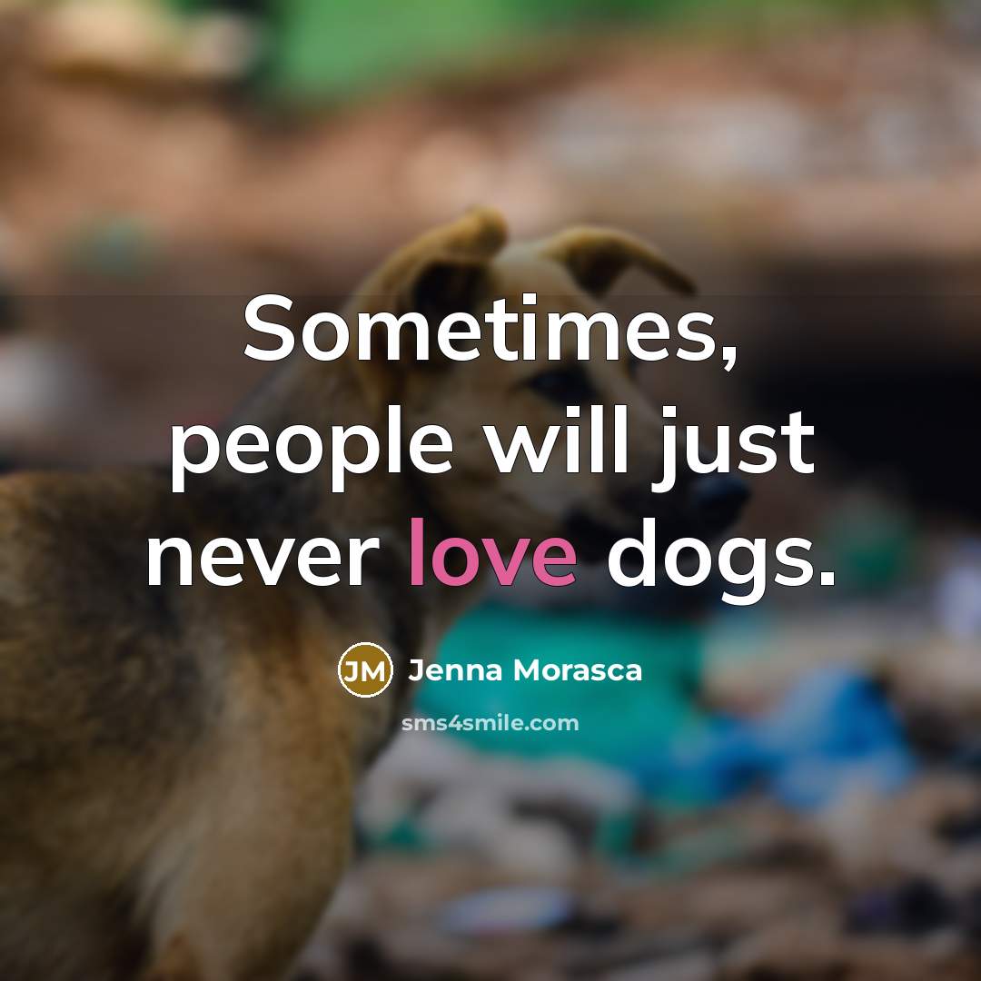 “Sometimes, people will just never love dogs.” quote by Jenna Morasca