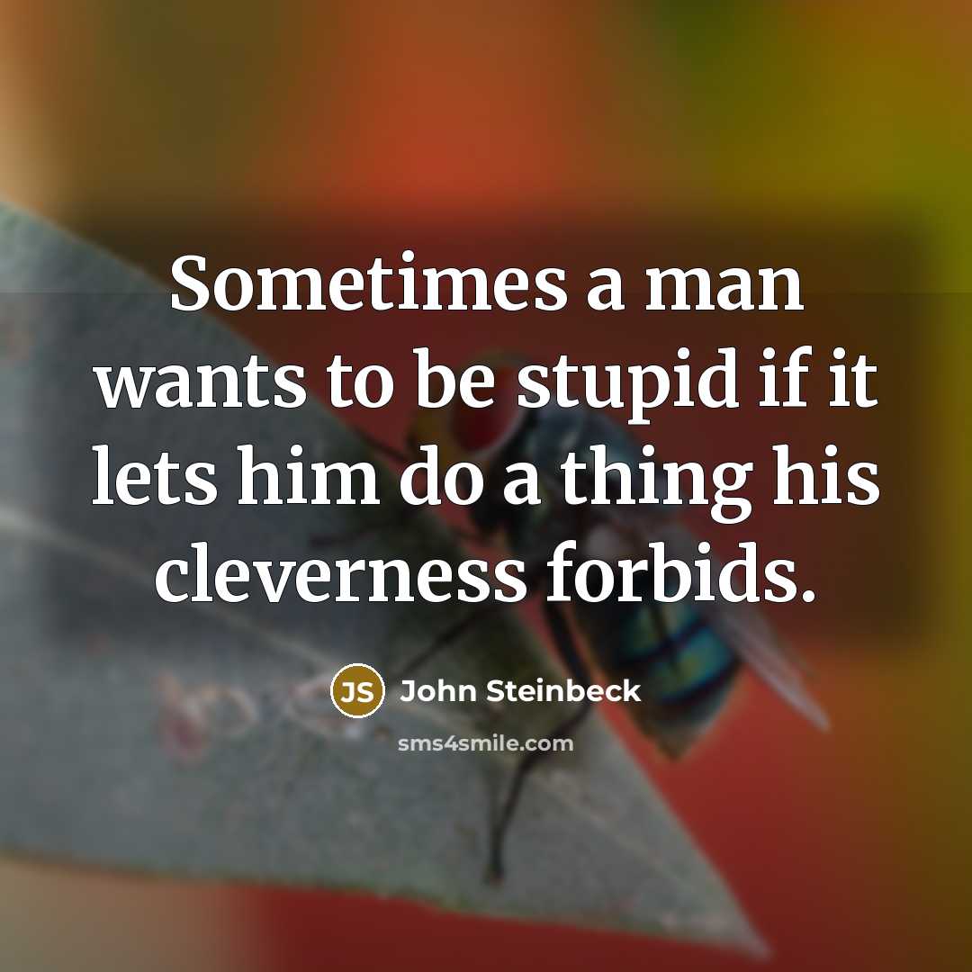 “Sometimes a man wants to be stupid if it lets…” quote by John Steinbeck