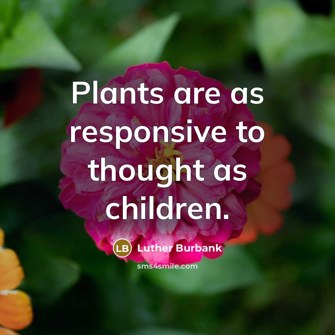 “Plants are as responsive to thought as children.…” quote by Luther Burbank