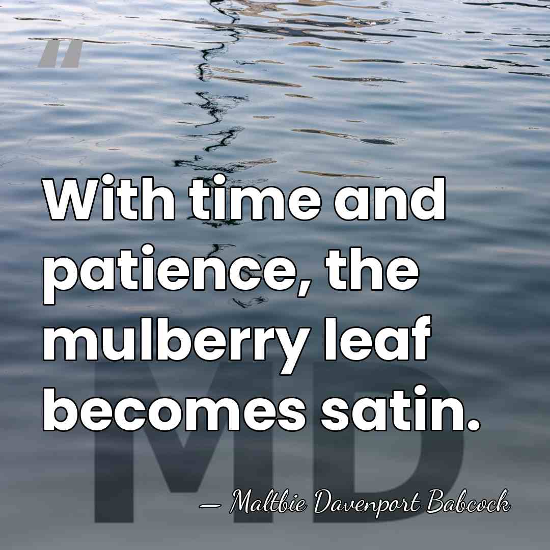 With time and patience, the mulberry leaf becomes satin. - Maltbie Davenport Babcock