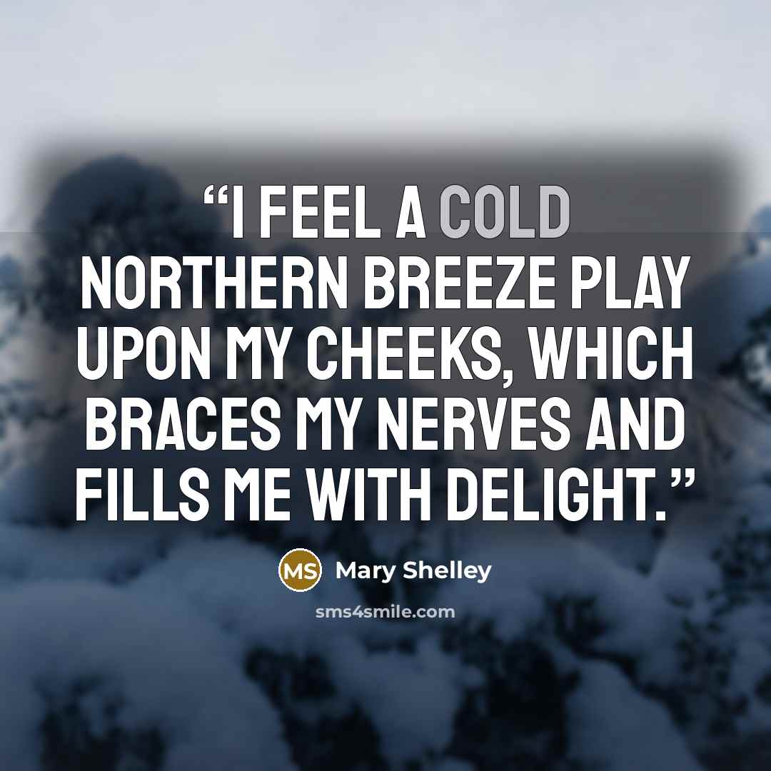 “I feel a cold northern breeze play upon my cheeks, which braces my nerves and fills me with delight.” quote by Mary Shelley