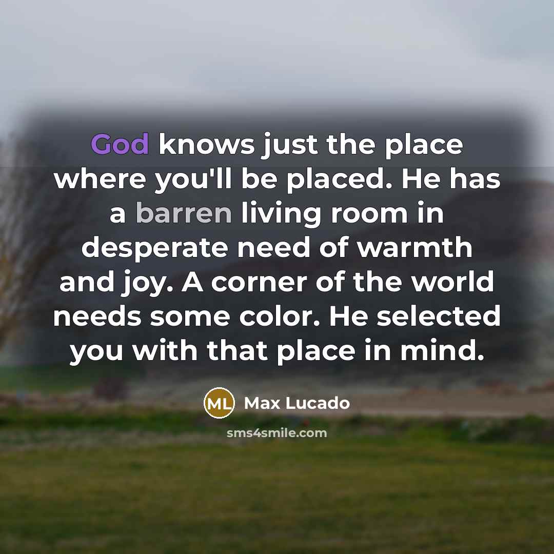“God knows just the place where you'll be placed. He…” quote by Max Lucado