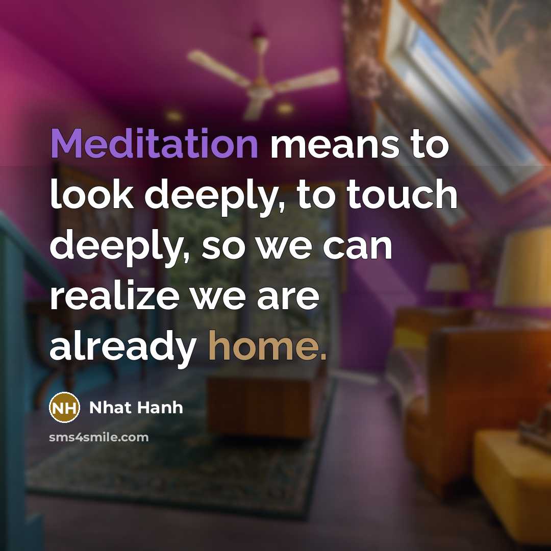 “Meditation means to look deeply, to touch deeply, so we…” quote by Nhat Hanh