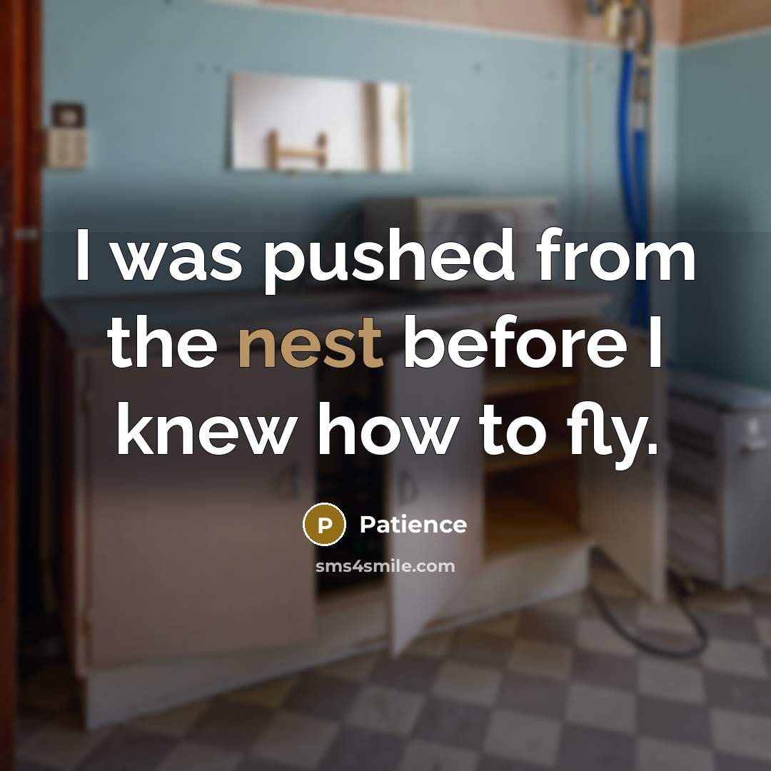 “I was pushed from the nest before I knew how…” quote by Patience