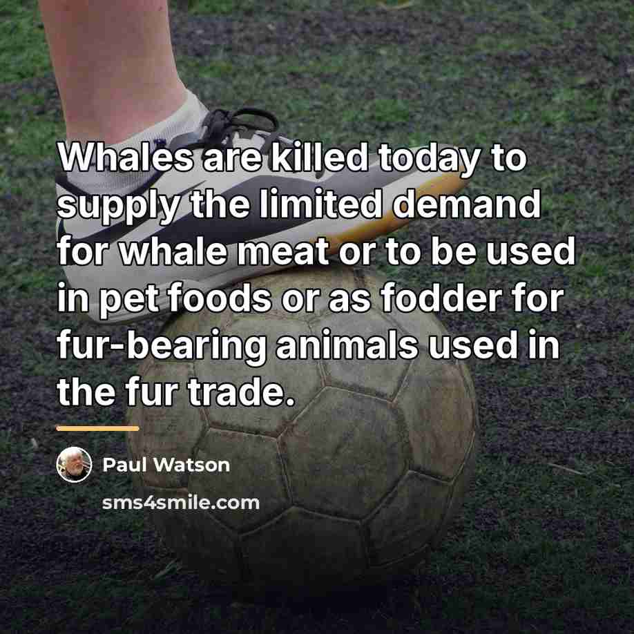 “Whales are killed today to supply the limited demand for…” quote by Paul Watson