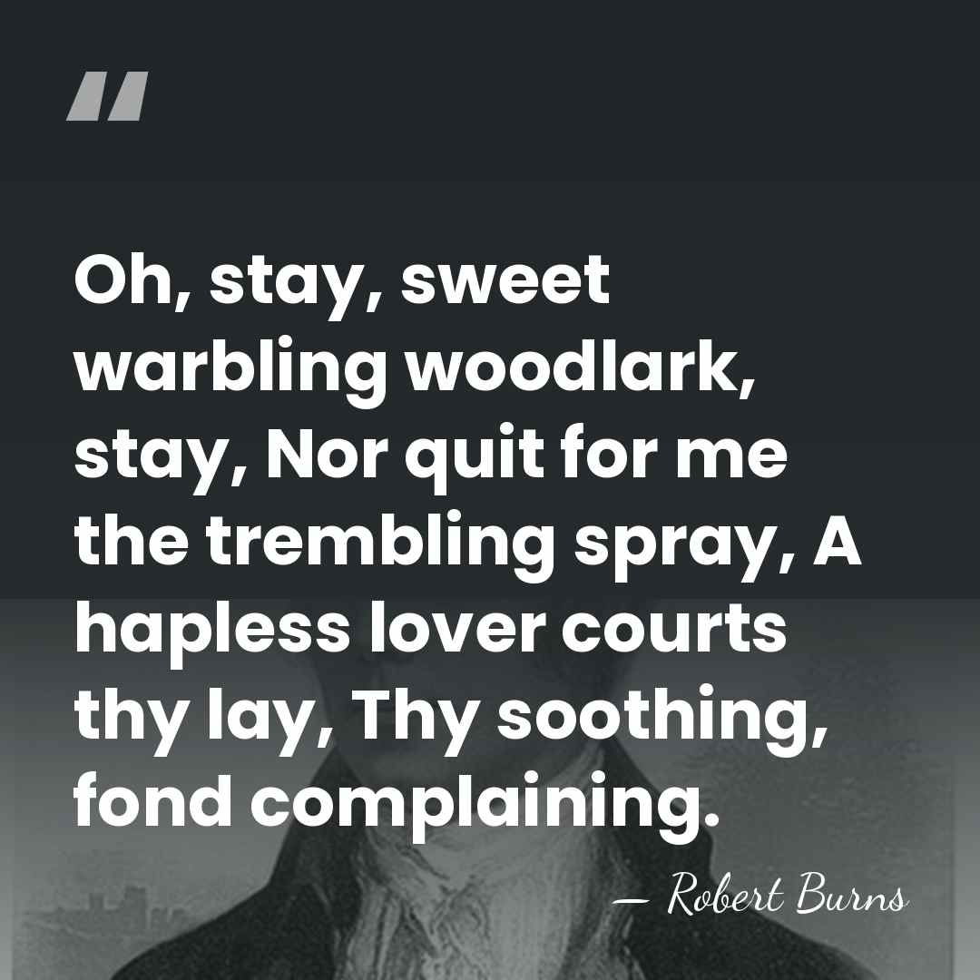 Oh, stay, sweet warbling woodlark, stay, Nor quit for me the trembling&hellip; - Robert Burns