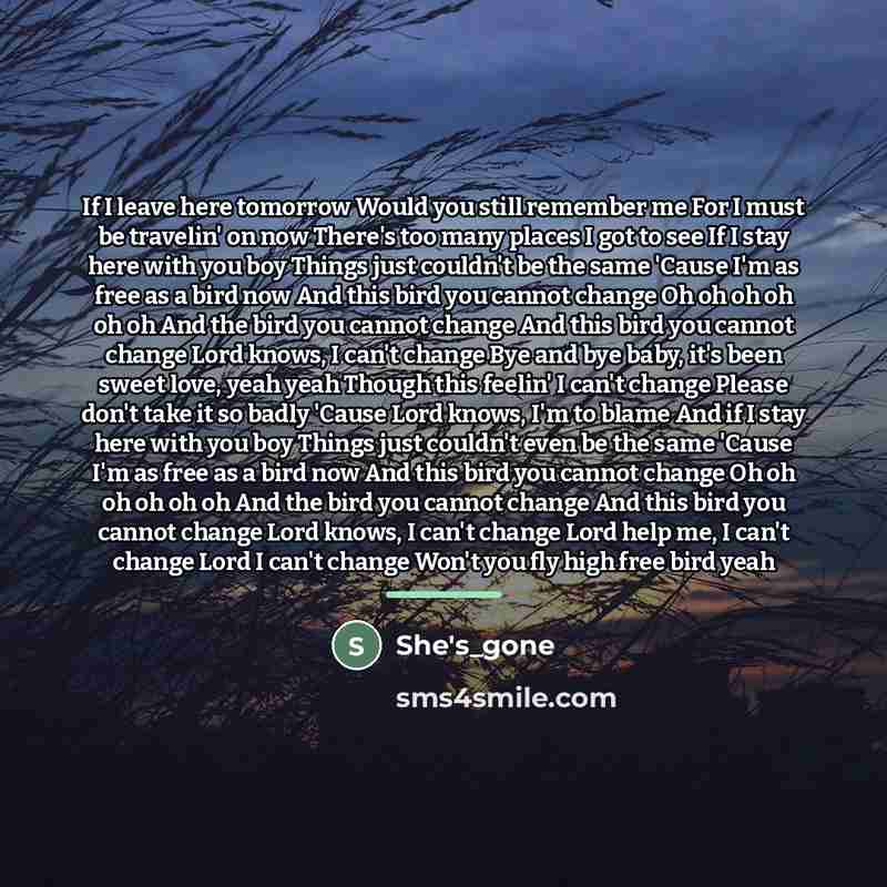 “If I leave here tomorrow Would you still remember me…” quote by She's_gone