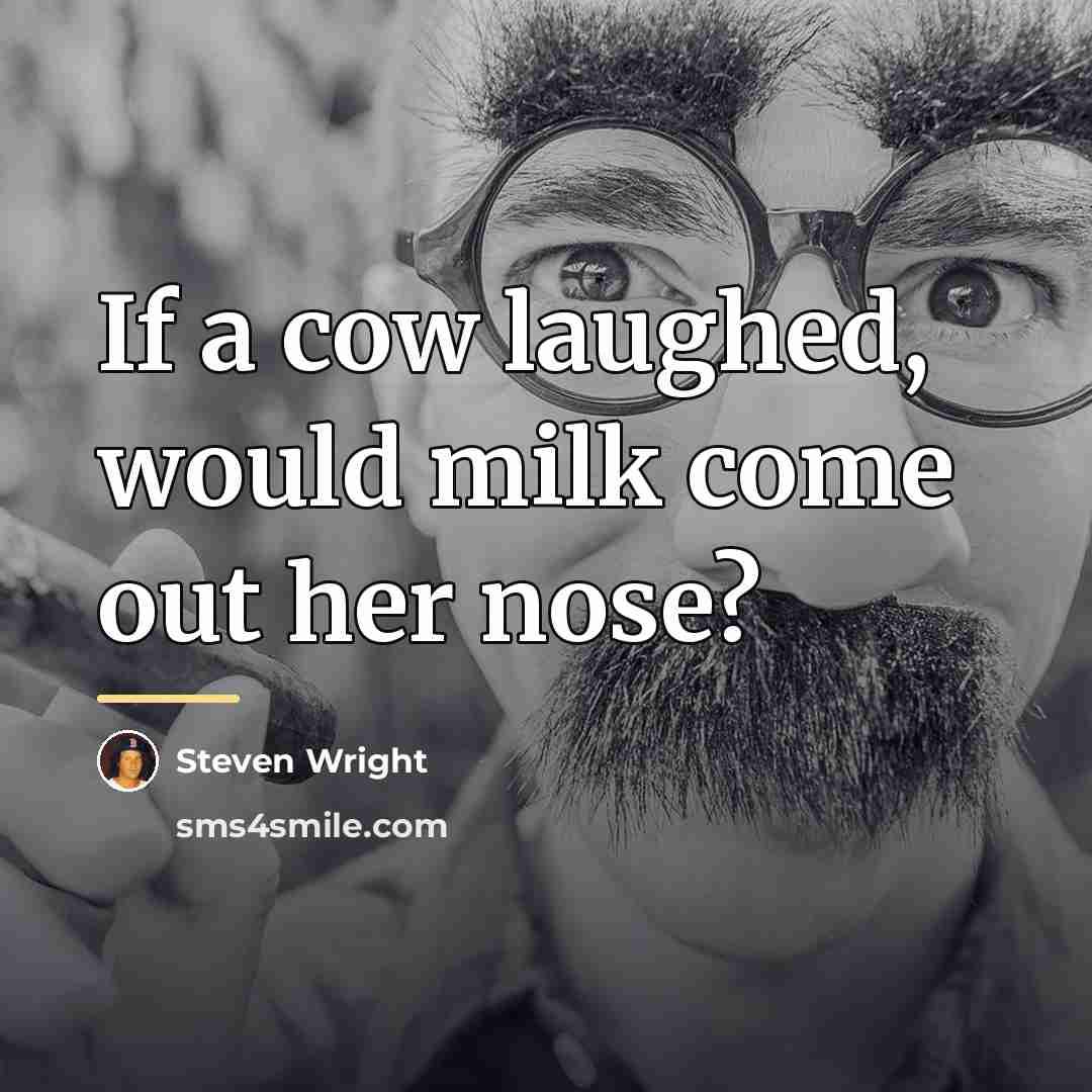“If a cow laughed, would milk come out her nose?…” quote by Steven Wright