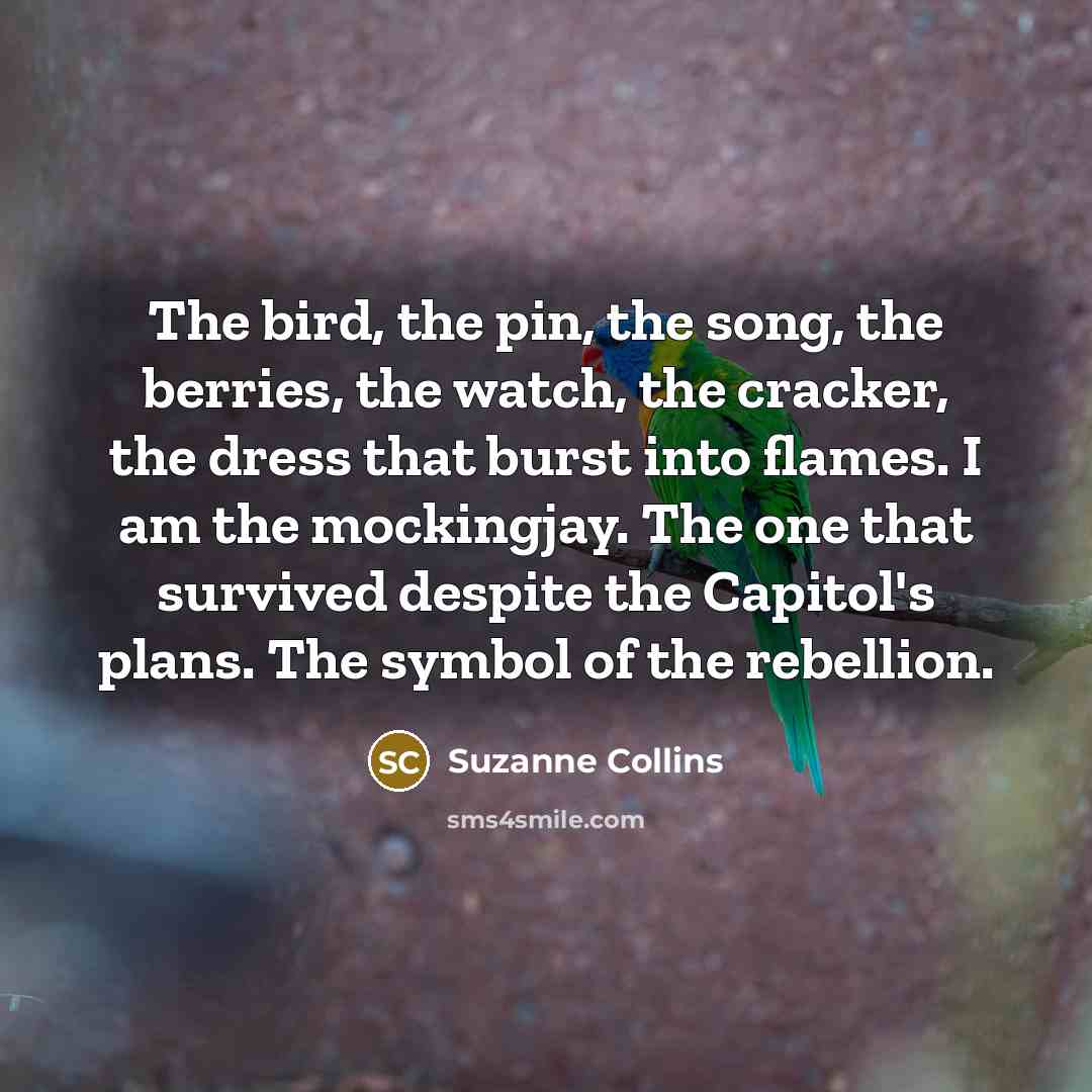 “The bird, the pin, the song, the berries, the watch,…” quote by Suzanne Collins