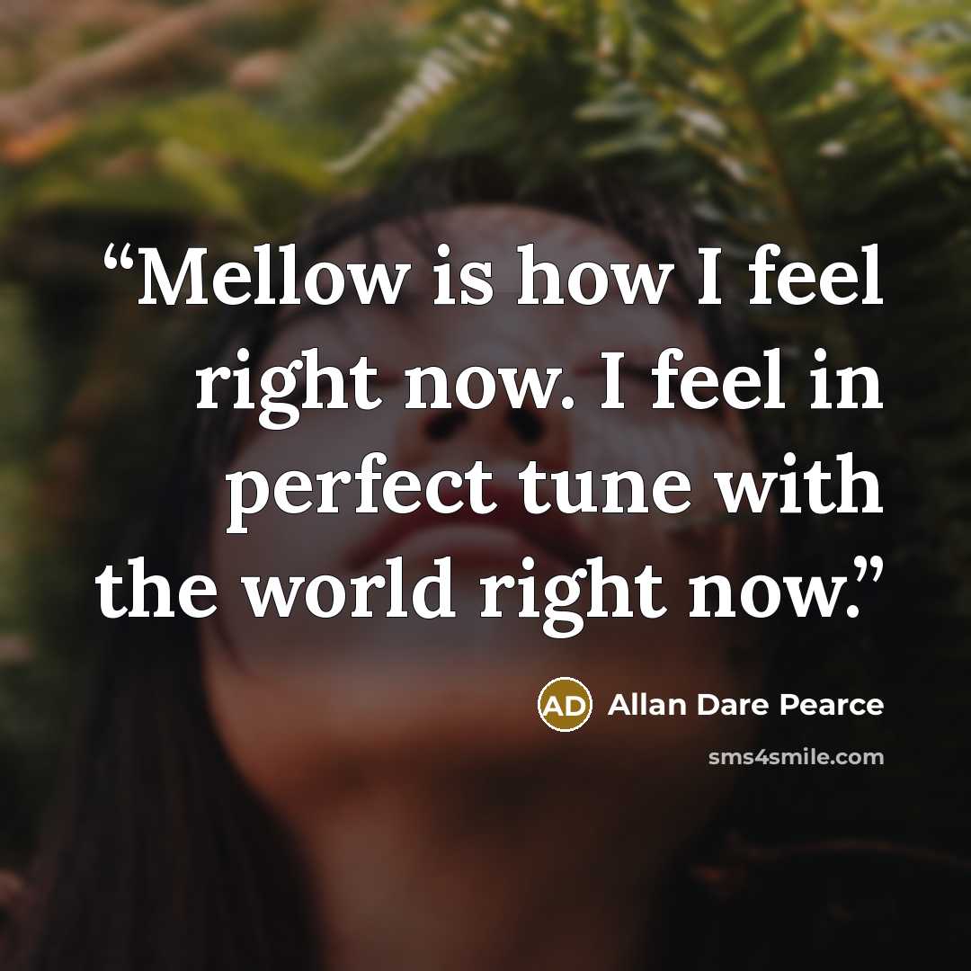 “Mellow is how I feel right now. I feel in perfect tune with the world right now.” quote by Allan Dare Pearce