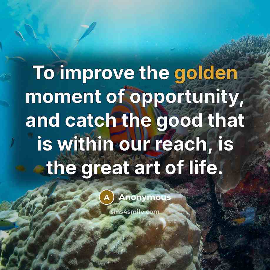 “To improve the golden moment of opportunity, and catch the…” quote by Anonymous