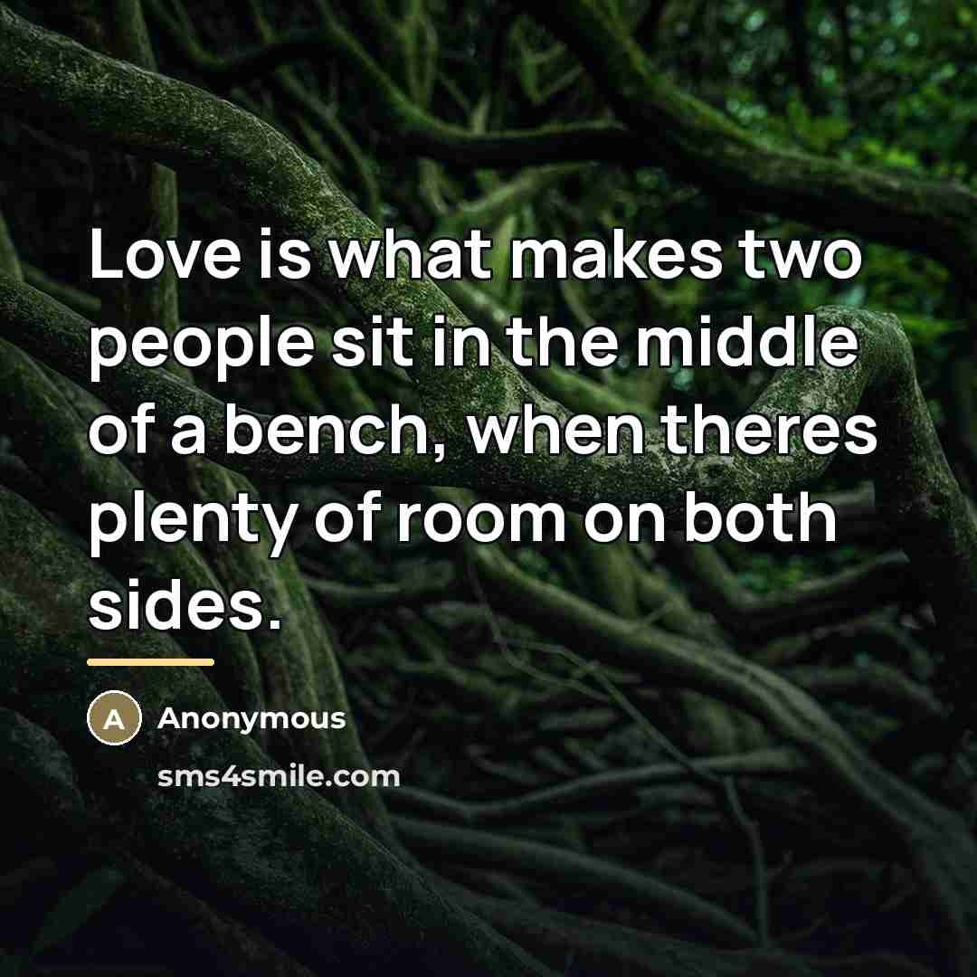 “Love is what makes two people sit in the middle…” quote by Anonymous