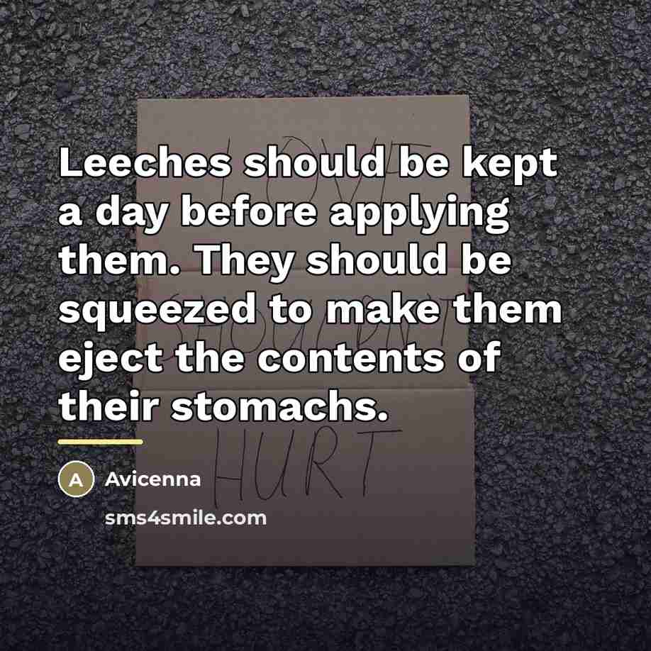 “Leeches should be kept a day before applying them. They…” quote by Avicenna