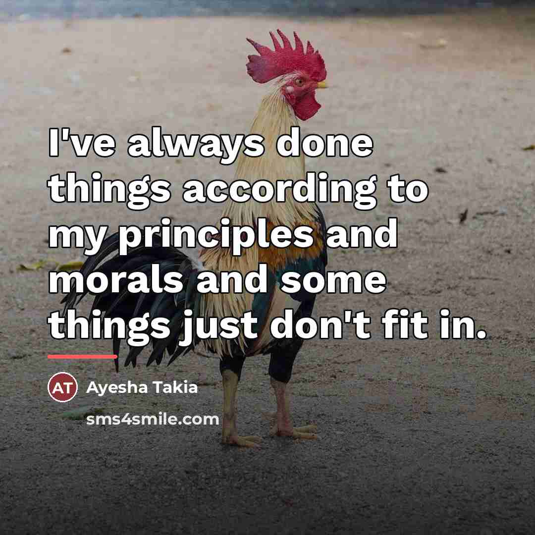 “I've always done things according to my principles and morals…” quote by Ayesha Takia