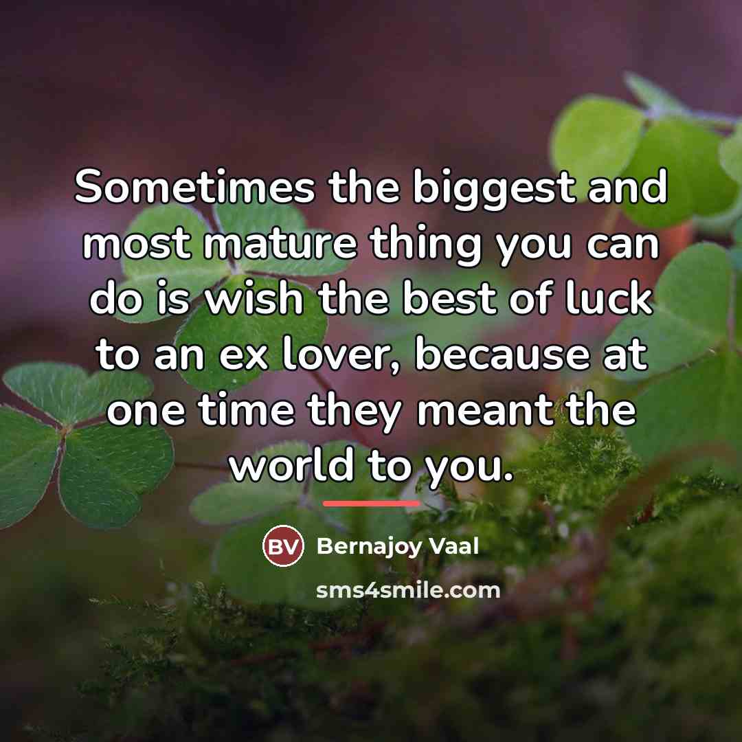 “Sometimes the biggest and most mature thing you can do…” quote by Bernajoy Vaal