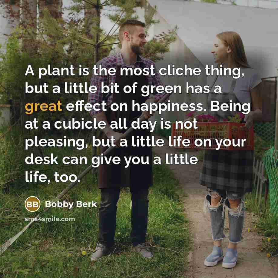 “A plant is the most cliche thing, but a little…” quote by Bobby Berk