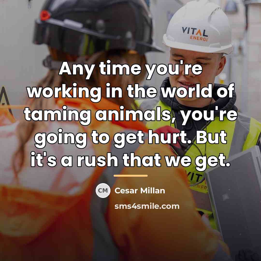 “Any time you're working in the world of taming animals,…” quote by Cesar Millan