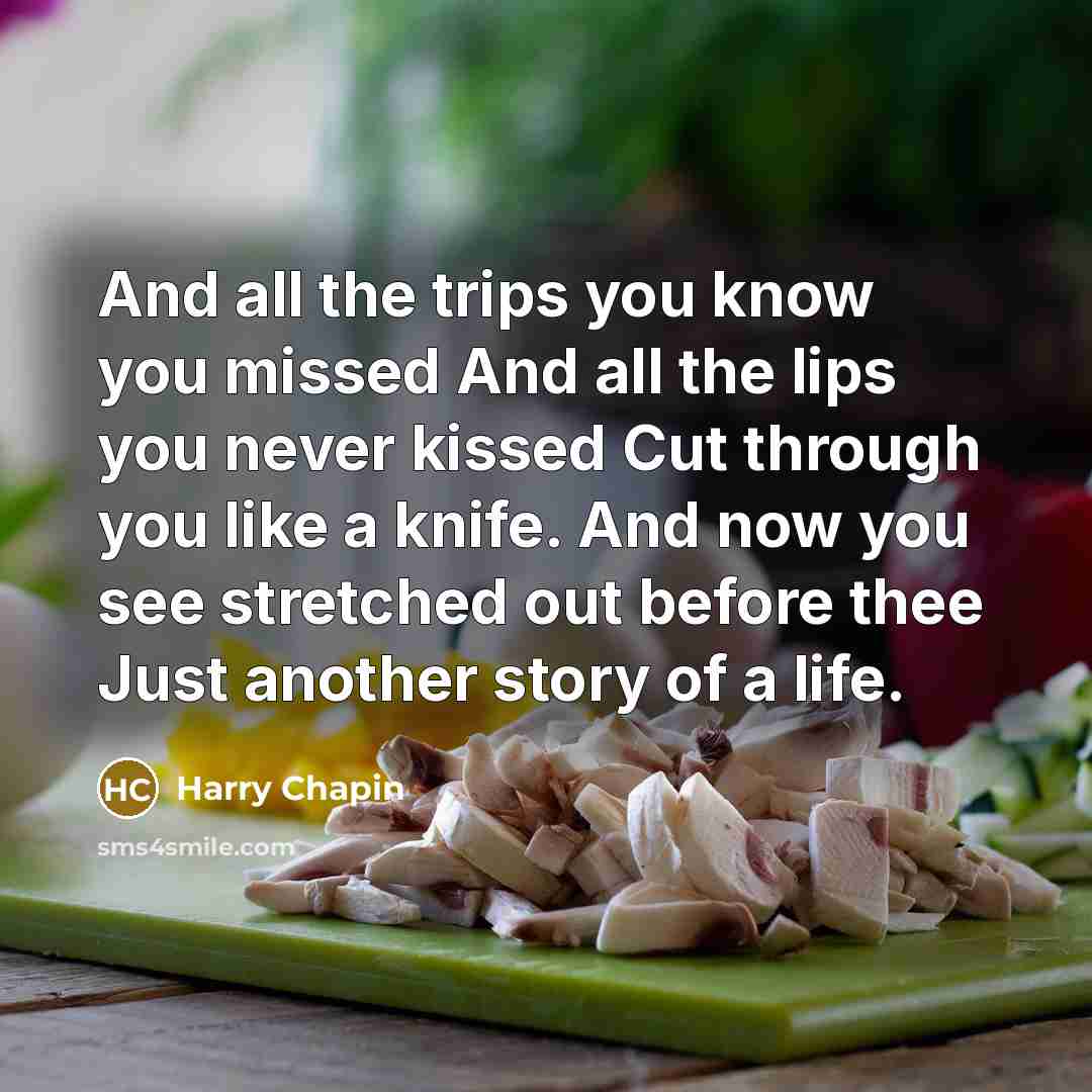 “And all the trips you know you missed And all…” quote by Harry Chapin